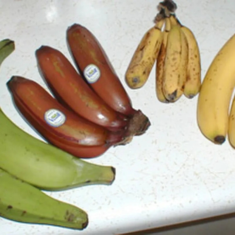 Banana