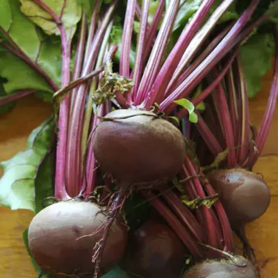 Beetroot
