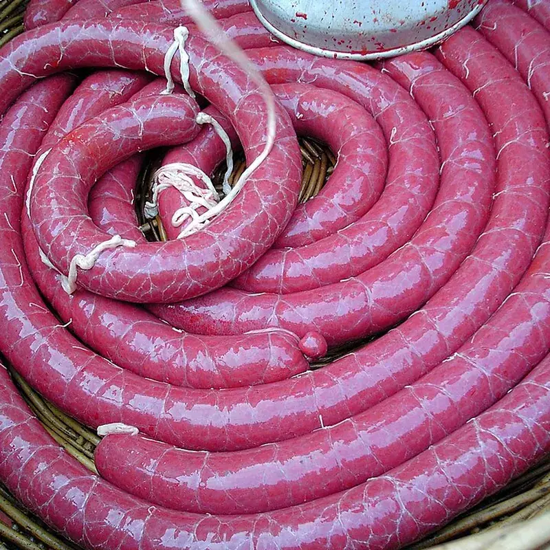 Rellena
