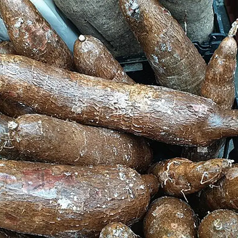 Cassava