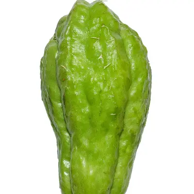 Chayote