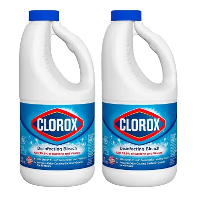 Clorox Original