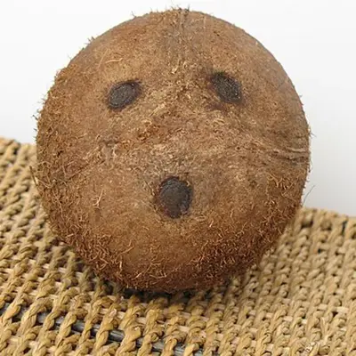 Dry Coconut