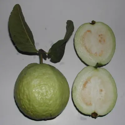 Fresh Guava