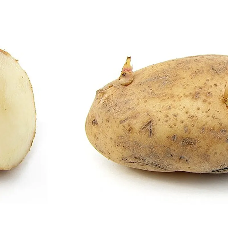 Papa Idaho (Bolsa)