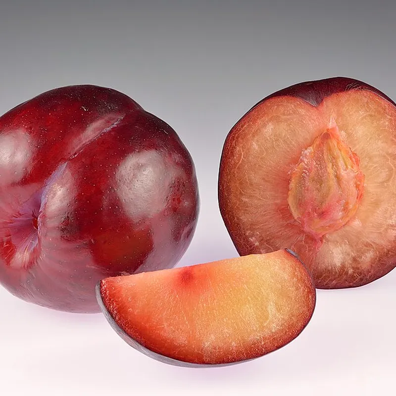 Red Plum