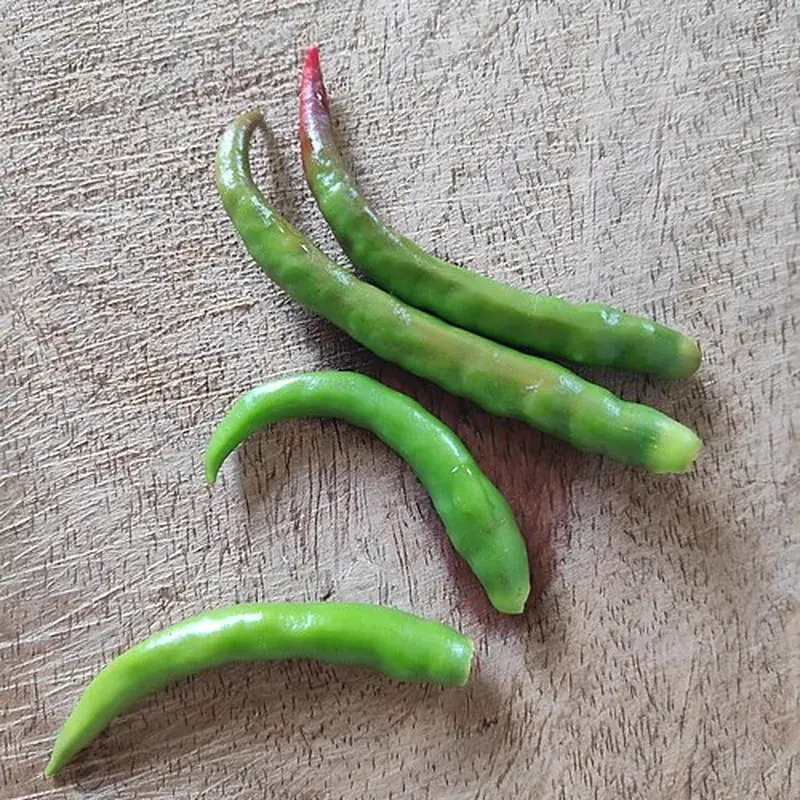 Serrano Pepper