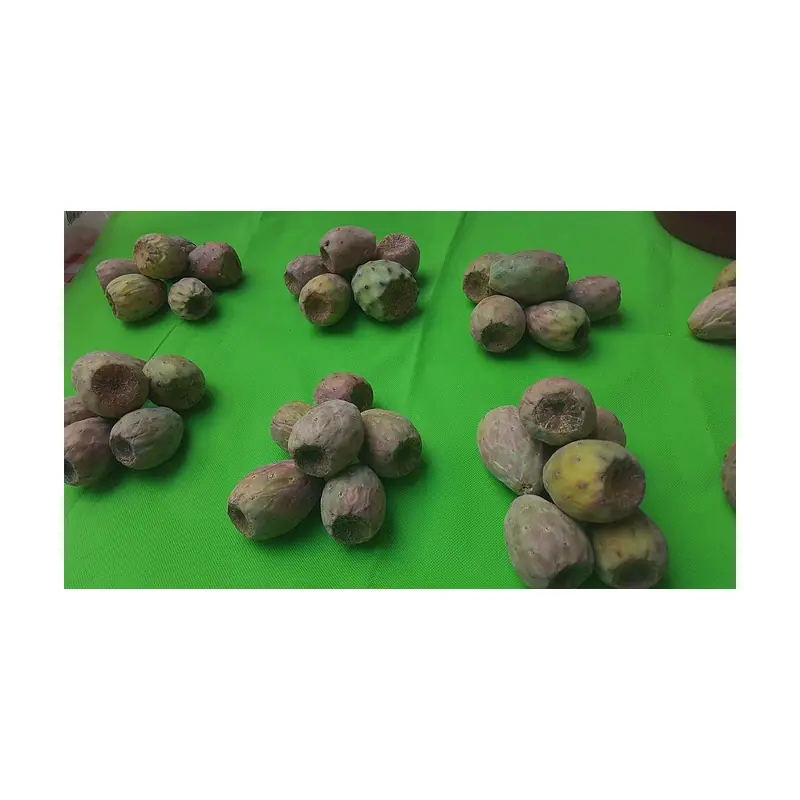 Sour Prickly Pear