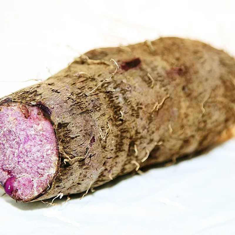 Yam